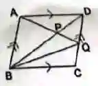 Triangle Geometry SEE 2081