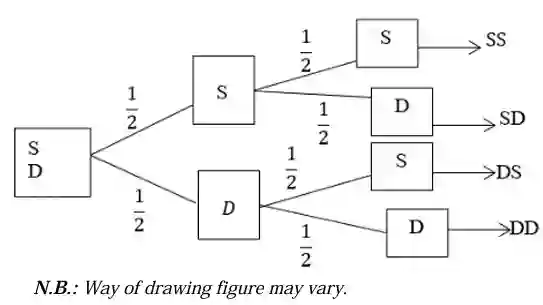 Probability Tree Diagram