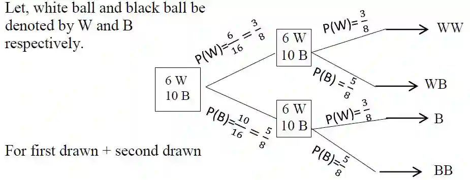 Probability Tree Diagram