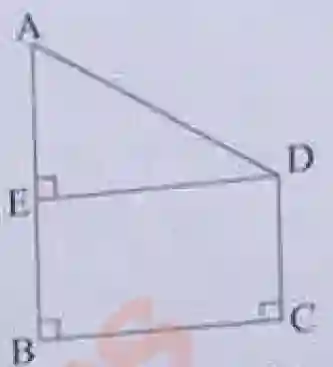 Height and Distance Problem