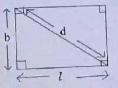 Rectangular Field Geometry