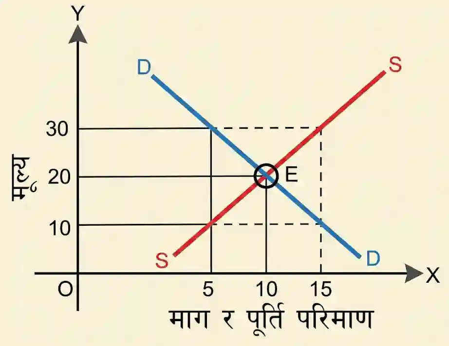 Demand and Supply Curve Explanation