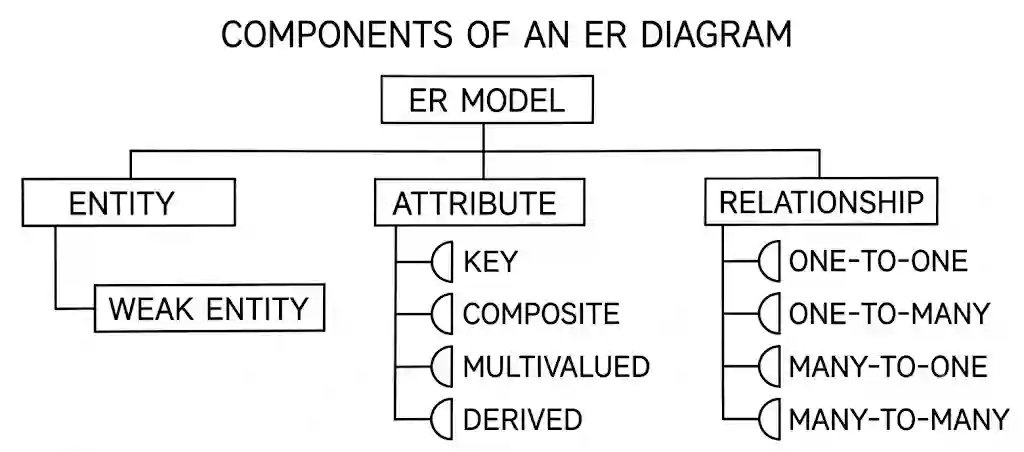 Components of ER Diagram