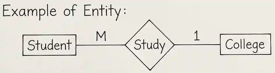 Entity Example