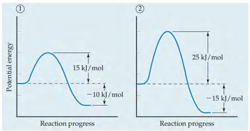 Class 12 Chemistry Unit 3 Chemical Kinetics