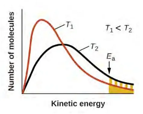 Class 12 Chemistry Unit 3 Chemical Kinetics