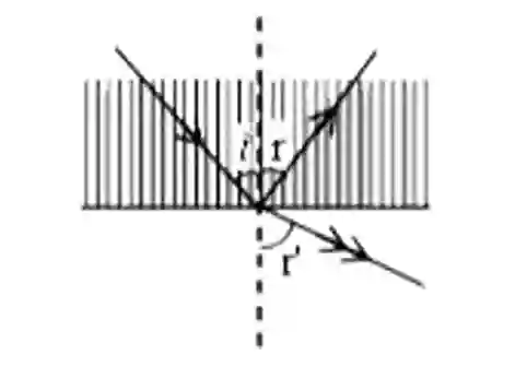 Class 12 Physics Chapter 13 Polarization