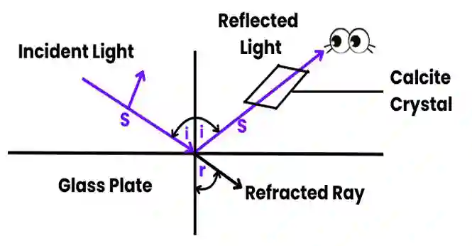 Class 12 Physics Chapter 13 Polarization