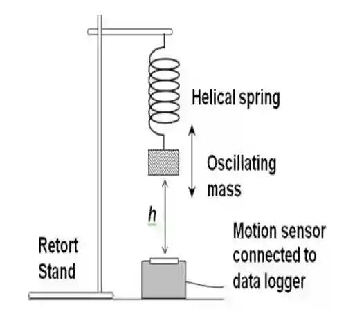 Class 12 Physics Chapter 2 Periodic Motion mass on helical spring with motion sensor