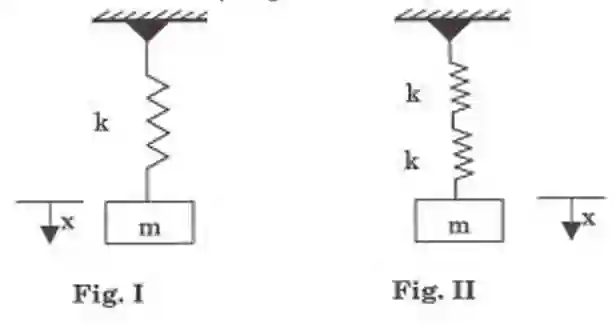 Class 12 Physics Chapter 2 Periodic Motion spring combination
